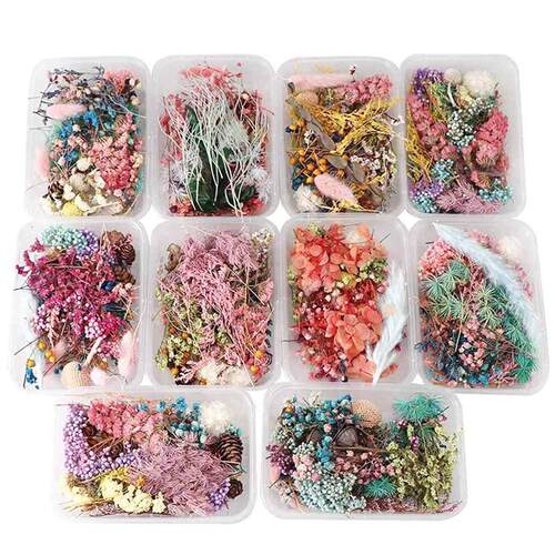 1 Box Dried Flower Dry Plants For Aromatherapy Candle Epoxy