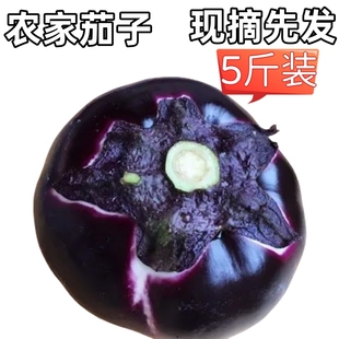 圆茄子新鲜圆茄5斤装山东农家蔬菜现摘现发紫光黑皮圆茄时令蔬菜