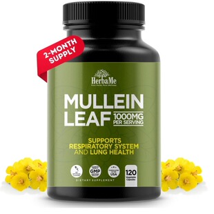 美国Mullein Leaf 1000 毫克 肺清洁 耳朵健康提取粘液缓解草本