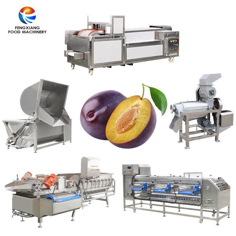 西梅去核机 清洗 榨汁机加工樱桃李子杏子多种水果,清洗/食品/商业设备,肉制品加工设备,淘宝优惠券,粉丝福利购,淘宝优惠卷