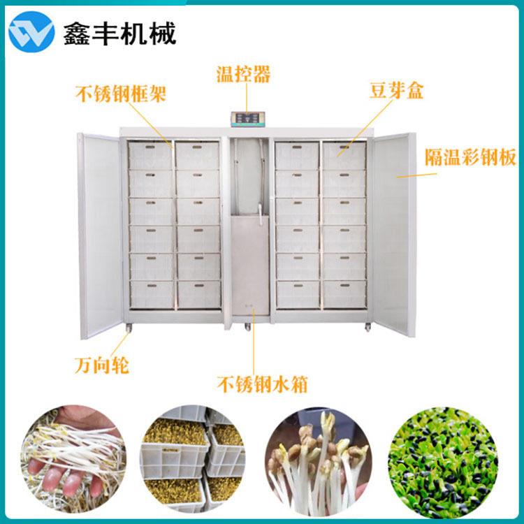 全自动豆芽机一机多用 豆芽机发绿豆芽 一年四季均可生产