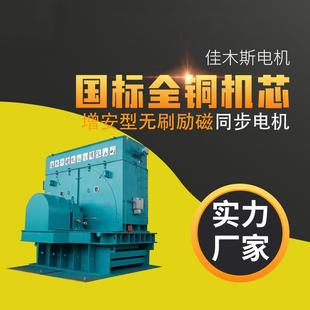 电机TAW系列增安型无刷励磁同步电动机15w18.5w22w30w