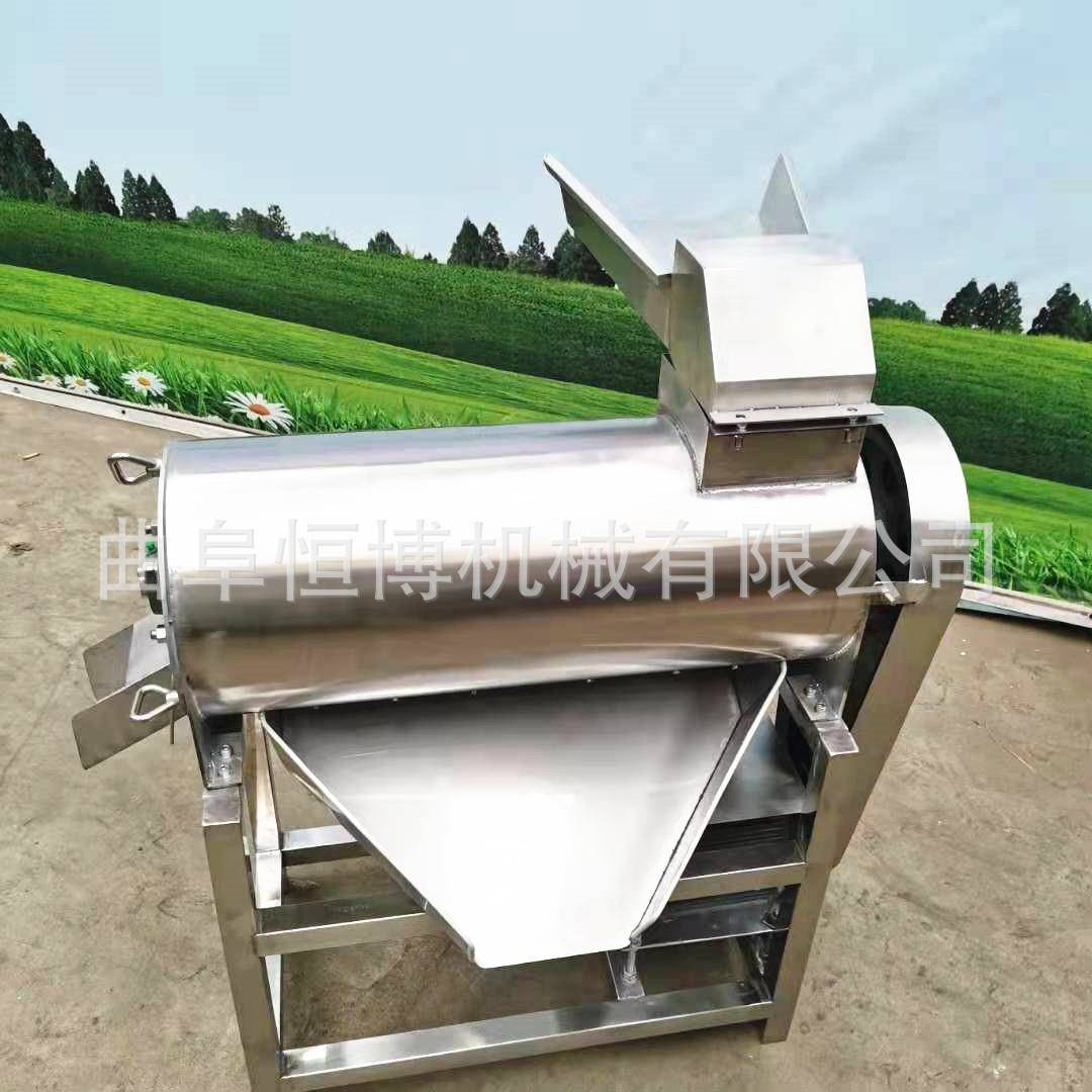 杨梅去核打浆机 桃子去核打浆机 芒果去核打浆机 红枣打浆机