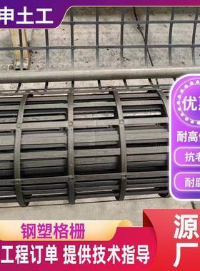 钢塑土工格栅50KN双向塑料格栅道路地面加筋稳固玻纤格栅养殖网