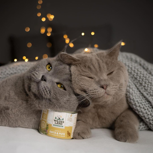 现货德国Wildesland王尔德猫咪主食餐包罐头无谷全猫期湿粮多口味