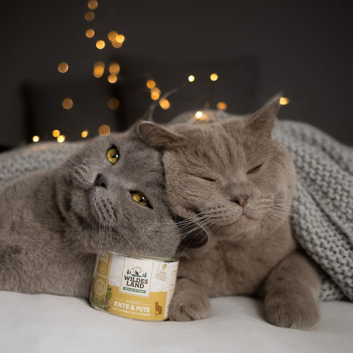 现货德国Wildesland王尔德猫咪主食餐包罐头无谷全猫期湿粮多口味