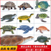 仿真海洋生物模型乌龟玩具陆龟巴西龟甲鱼海龟鳄龟儿童科教礼物