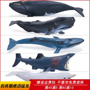 仿真海洋生物模型小号鲸鱼海豚姥鲨抹香鲸蓝鲸儿童玩具礼物摆件