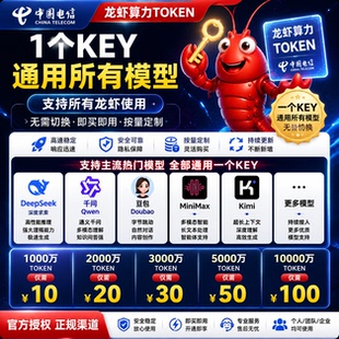 openclaw龙虾专用token大模型Api key人deepseek/Qwen格种模型