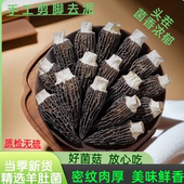 专属助农 羊肚菌4 7头茬新货煲汤炖汤营养 土特产 现拍现称