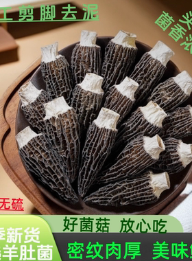 云南头茬新货精品羊肚菌源头货