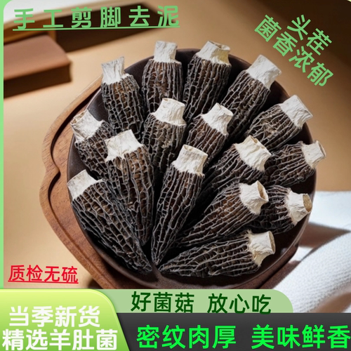 云南头茬新货精品羊肚菌源头货