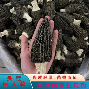 【六妹】特大羊肚菌8-12厘米26年头茬干货菌菇煲汤炖汤无添加