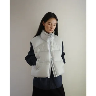 背心立领90新款 可选白鸭绒2025年68019 六色马甲女士外套羽绒