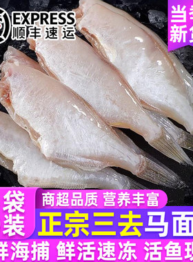 新鲜耗儿鱼冷冻小号扒皮鱼