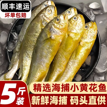 正宗小黄花鱼新鲜冷冻小黄鱼生鲜水产海鲜小黄鱼整箱商用批发顺丰