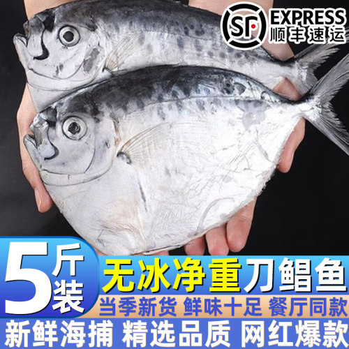 深海野生船冻大号刀鲳鱼肉厚肥嫩