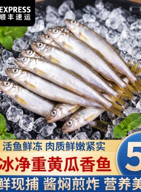 东北特产黄瓜香小公鱼速冻锁鲜