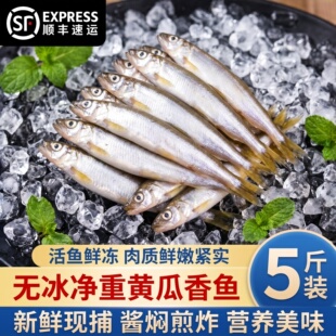 黄瓜香鱼正宗东北黄瓜香小公鱼东北特产冷水鱼淡水鱼新鲜速冻锁鲜