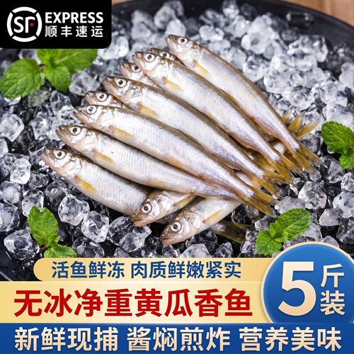 东北特产黄瓜香小公鱼速冻锁鲜