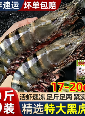 黑虎虾超大特大号老虎虾鲜活速冻