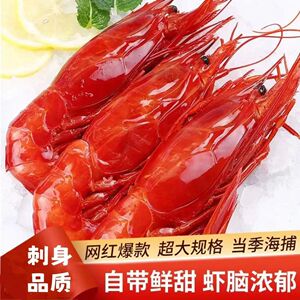 红魔虾特大鲜活刺身级生呛甜虾非莫桑比克西班牙生吃刺身海鲜水产