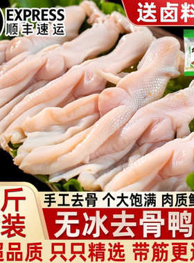 新鲜无骨鸭掌冷冻无冰卤菜烧烤