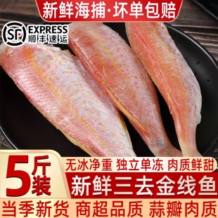 去头金线鱼新鲜速冻金线鱼海鲜红三鱼去头去内脏红杉鱼一整箱顺丰