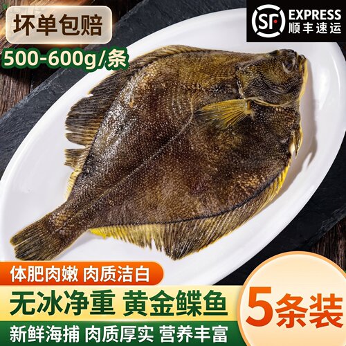 深海船冻黄金鲽鱼大号冷冻整条