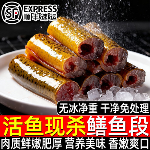 鲜冻现切去内脏黄鳝肉段大条