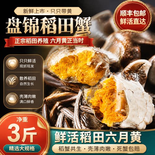 盘锦鲜活六月黄新鲜大闸蟹小螃蟹活蟹河蟹醉蟹顺丰包邮死蟹包赔