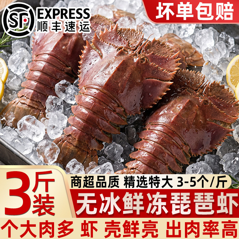 无冰琵琶虾鲜活冷冻超大九齿扇虾
