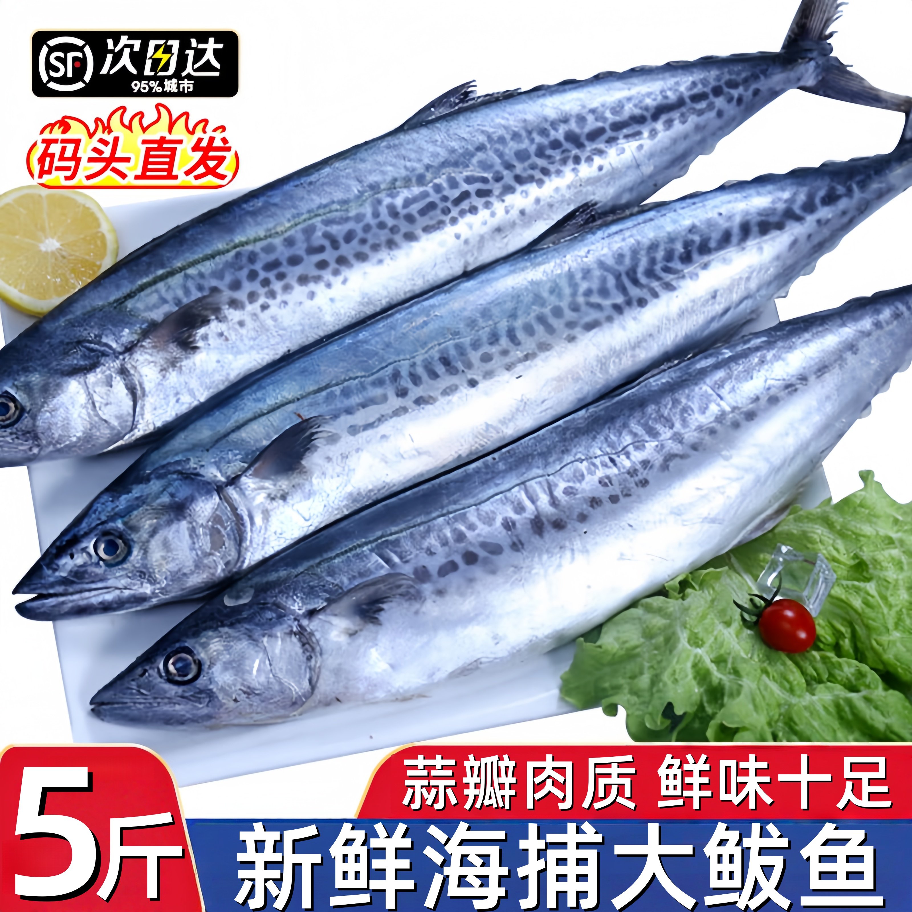 燕尾鲅鱼新鲜冷冻大鲅鱼马鲛鱼整条冷冻鲅鱼燕鲅鱼海鲜水产顺丰