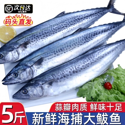 整条冷冻燕尾鲅鱼顺丰