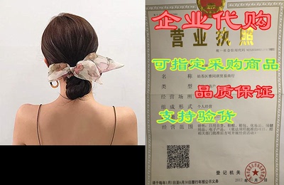 Flower Painting Organza Bow Scrunchie (Color: Beige) Hair