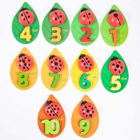 Montessori Counting Ladybugs， for Kids 2 3 4 5 Year Old，