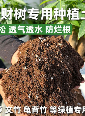 发财树专用种植土泥炭营养土透气透水防烂根绿萝文竹天堂鸟通用型
