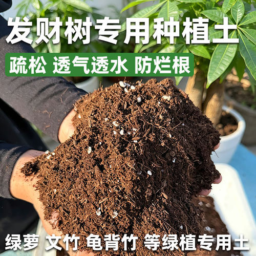 发财树专用种植土泥炭营养土透气透水防烂根绿萝文竹天堂鸟通用型