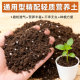 营养土养花通用专用通用疏松透气有机种菜种花卉绿植种植椰糠土壤