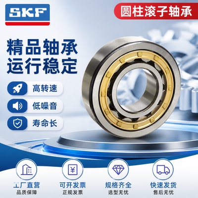 瑞典SKF进口圆柱滚子轴承