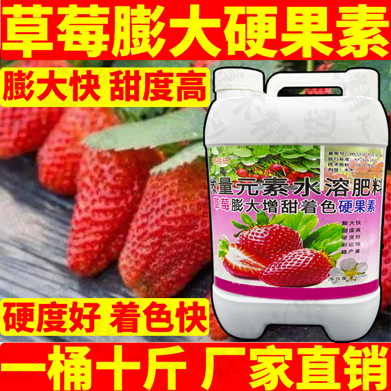 草莓增甜着色硬果素膨大剂防空心增大防裂大果靓果专用叶面肥正品