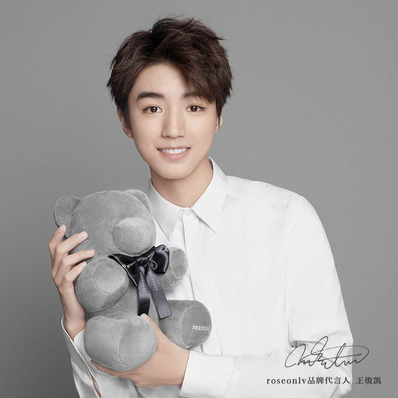 王俊凯同款抱抱熊公仔小熊娃娃