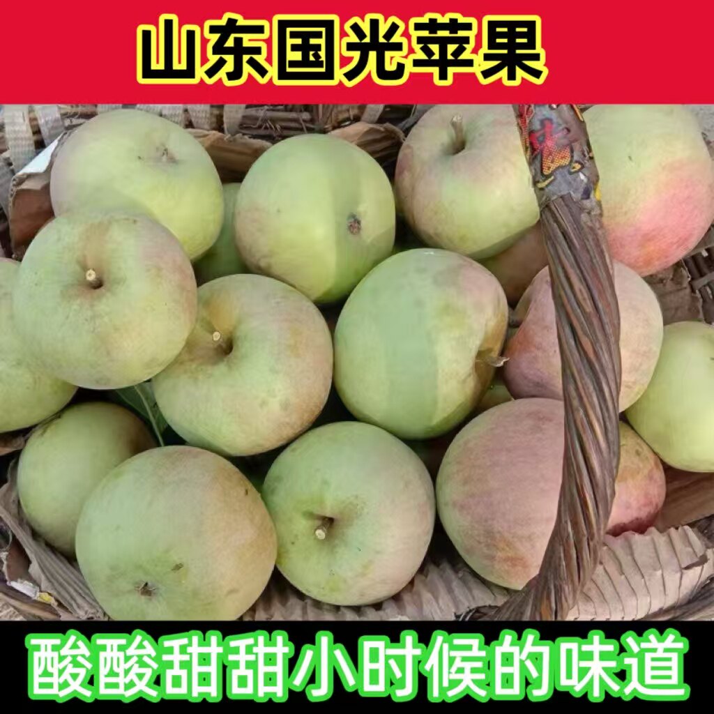 现货山东国光小苹果新鲜水果酸甜多汁农家自种老品种果树小时味道