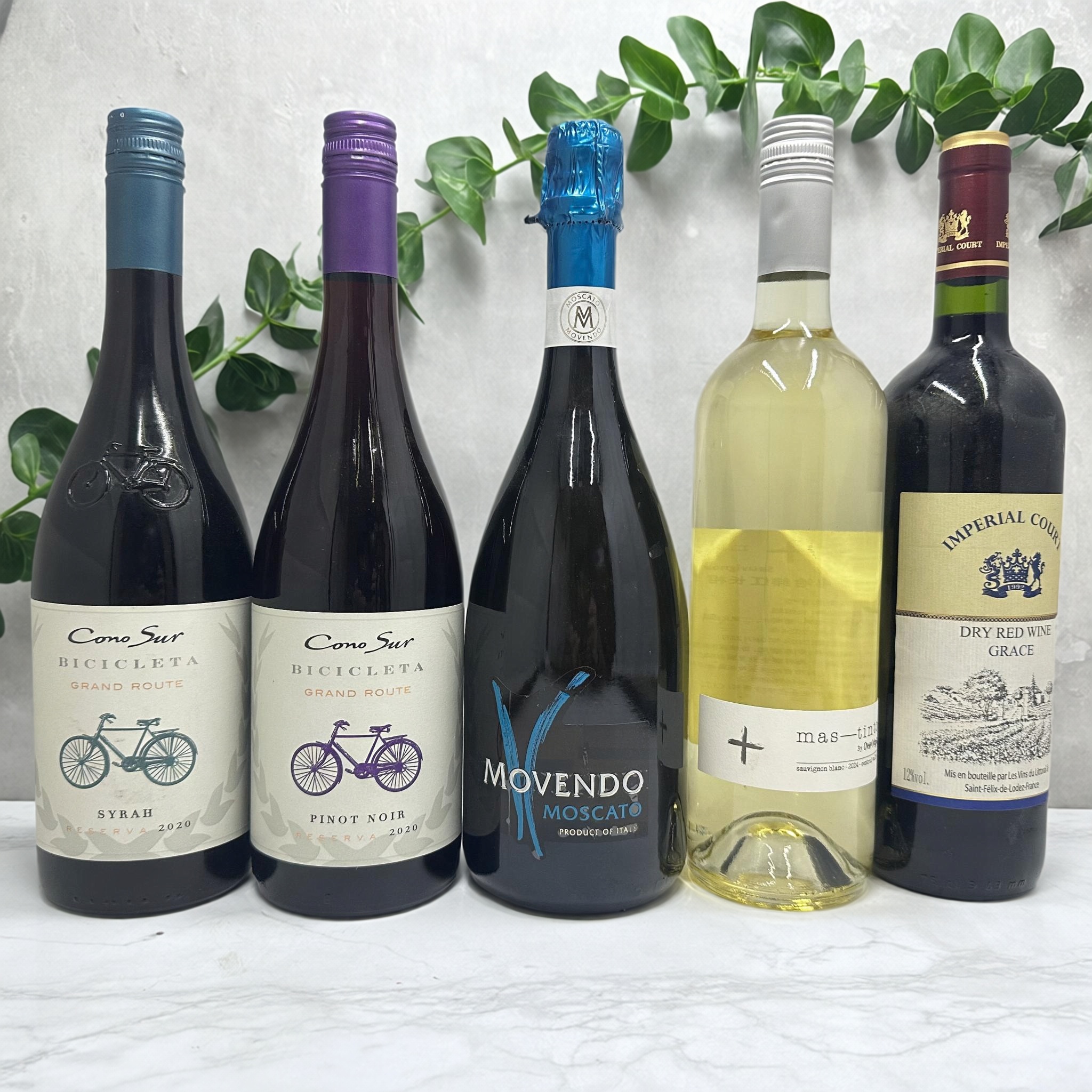 智利 法国 进口 干白 干红 西拉红 黑比诺红 起泡白葡萄酒系列