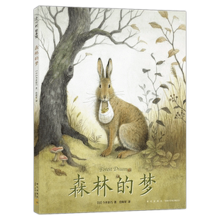 森林的梦 今井彩乃 环保意识 生命的循环 森林再生 想象力 水擦爱华45678岁作者六度入选意大利博洛尼亚国际插画展爱心树