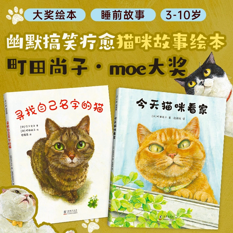 寻找自己名字的猫+今天猫咪看家