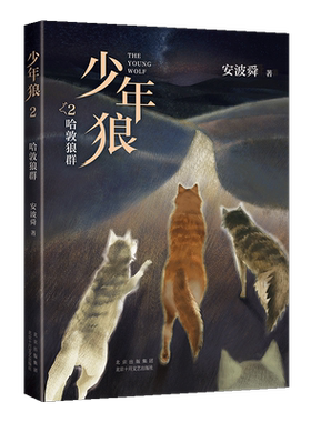 少年狼2 哈敦狼群 中国版狮子王  让孩子学会自我成长 精美插图四色印刷适合亲子共读与大语文教育 周国平 狼图腾 爱心树