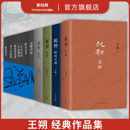 新经典王朔王朔作品精选集