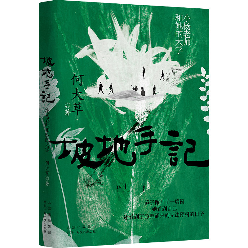 坡地手记：小杨老师和她的大学（《春山》作者何大草长篇新作） 新经典正版