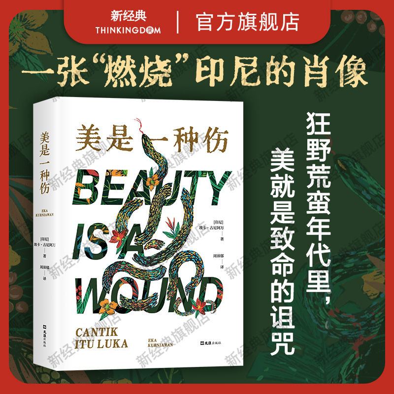 新经典图书美是一种伤